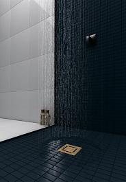 BERGES Wasserhaus Душевой трап Zentrum Norma 100 092362 золото глянец – фотография-4