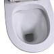Taliente Унитаз Arte AR35045 напольный с бачком – картинка-9