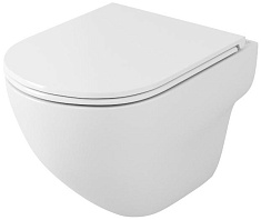 Owl 1975 Унитаз безободковый Wave Cirkel-H с сиденьем DP микролифт