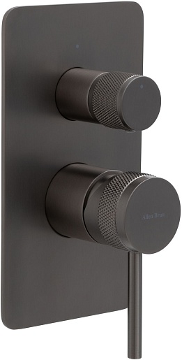 Allen Brau Смеситель для ванны Priority 5.31011-MG (с внутренней частью, 2 выхода) графит браш – фото-1