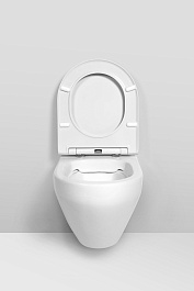 Am.Pm Комплект: инсталляция Duofix Delta 3 в 1 + унитаз Spirit FlashCle с микролифтом – фотография-6