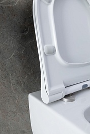 Allen Brau Унитаз подвесной Priority 4.31001.20 белый глянец с крышкой 4.31004.20 – фотография-7