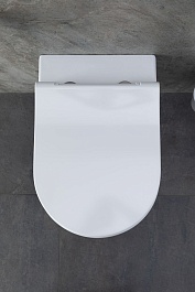 Allen Brau Унитаз с инсталляцией Priority 00301296/8.9466.0.000.000.1 белый глянец – фотография-18