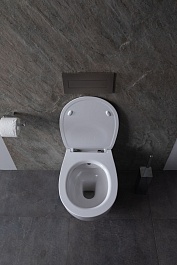 Allen Brau Унитаз подвесной Fantasy 4.11HC1.20 белый глянец с крышкой 4.11005.20 – фотография-9