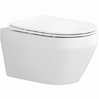 Aquatek Унитаз подвесной Лея AQ1199-00