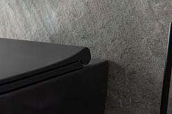 Allen Brau Чаша подвесного унитаза Priority 4.31001.AN антрацит – фотография-19