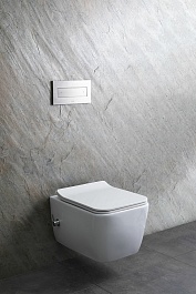 Allen Brau Унитаз подвесной Liberty 4.33009.20 белый с крышкой 4.33008.20 – фотография-3