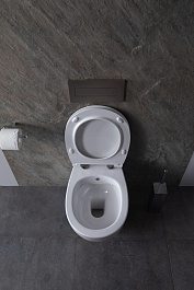 Allen Brau Чаша подвесного унитаза Fantasy 4.11HC1.20 белый глянец – фотография-9