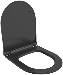 Ambassador Сиденье для унитаза Abner тонкое черное матовое – фотография-1
