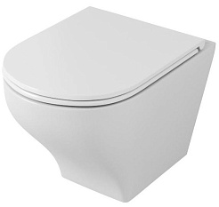 Owl 1975 Унитаз безободковый Eld Ruta Line-Hс сиденьем DP микролифт – фотография-1