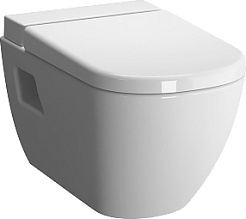 Vitra Крышка-сиденье D-Light 104-003-009 с микролифтом – фотография-2