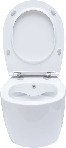 Allen Brau Унитаз подвесной Fantasy 4.11HC1.20 белый глянец с крышкой 4.11005.20 – фотография-32