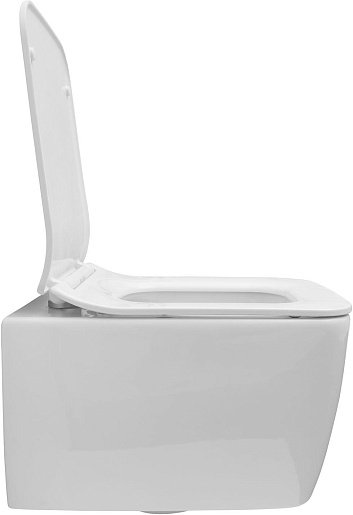 Allen Brau Чаша подвесного унитаза Liberty 4.33007.20 белый – фотография-10