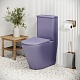 Grossman Унитаз компакт Color GR-4480LIMS фиолетовый матовый – картинка-17