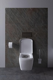 Allen Brau Унитаз с инсталляцией Liberty 4.33004.20/8.9466.0.000.000.1 белый глянец – фотография-4