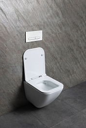 Allen Brau Унитаз подвесной Liberty 4.33011.20 белый с крышкой 4.33015.20 – фотография-8