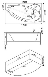 Bas Акриловая ванна Николь 170 R – фотография-8