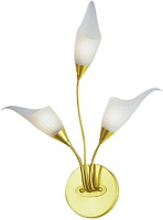 N-Light Бра BX-0143/3 gold