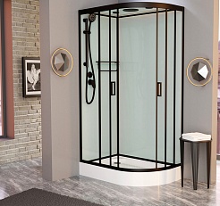 Frank Душевая кабина F418 L black с крышей – фотография-2