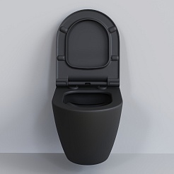 Ambassador Сиденье для унитаза Queen тонкое черное матовое – фотография-5