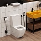 Ceruttispa Унитаз-компакт Mimi CT8707 – картинка-16