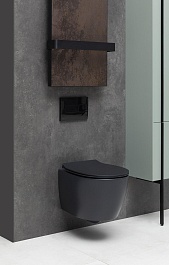 Allen Brau Унитаз подвесной Fantasy 4.11004.31 чёрный матовый с крышкой 4.11005.31 – фотография-11