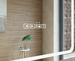 Vigo Зеркало Eva Media L 700 – фотография-3