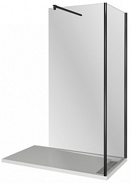 Good Door Душевое ограждение WALK IN SP+P-100-C-В – фотография-1