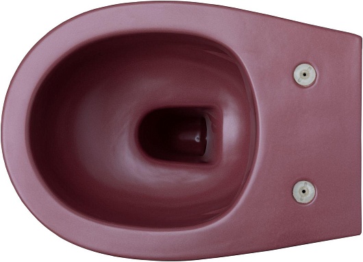 Allen Brau Чаша подвесного унитаза Fantasy 4.11004.BD бордо – фотография-8