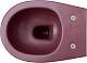 Allen Brau Чаша подвесного унитаза Fantasy 4.11004.BD бордо – фотография-31