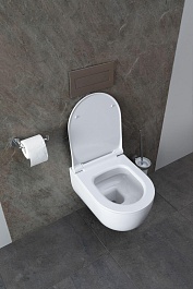 Allen Brau Унитаз подвесной Priority 4.31002.20 белый глянец с крышкой 4.31004.20 – фотография-20