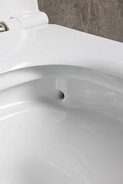 Allen Brau Унитаз подвесной Liberty 4.33011.20 белый с крышкой 4.33015.20 – фотография-4