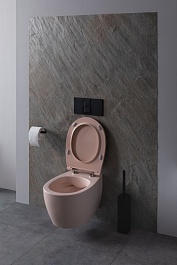 Allen Brau Чаша подвесного унитаза Fantasy 4.11004.SM розовый – фотография-4