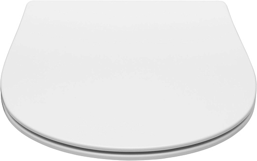 Allen Brau Чаша подвесного унитаза Fantasy 4.11004.21 белый матовый – фотография-4