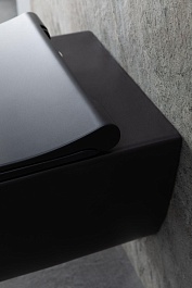 Allen Brau Чаша подвесного унитаза Priority 4.31001.31 чёрный матовый – фотография-21