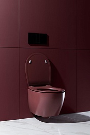 Allen Brau Чаша подвесного унитаза Fantasy 4.11004.BD бордо – фотография-20