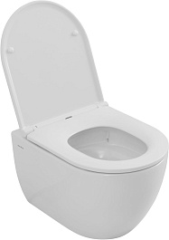 Allen Brau Унитаз подвесной Priority 4.31009.20 белый глянец с крышкой 4.31011.20 – фотография-15