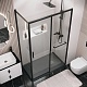 Grossman  Душевой уголок Style 110x80x195 профиль черный матовый стекло прозрачное – картинка-16
