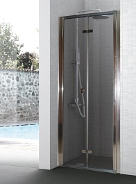 Parly Душевая дверь в нишу D91 – фотография-7