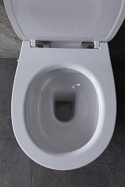 Allen Brau Чаша подвесного унитаза Fantasy 4.11HC1.20 белый глянец – фотография-10