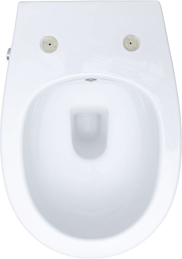 Allen Brau Унитаз подвесной Fantasy 4.11HC1.20 белый глянец с крышкой 4.11005.20 – картинка-29