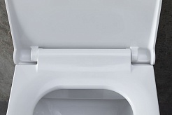 Allen Brau Унитаз подвесной Infinity 4.21011.20 белый глянец с крышкой 4.21013.20 – фотография-10