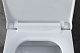 Allen Brau Унитаз подвесной Infinity 4.21011.20 белый глянец с крышкой 4.21013.20 – фотография-44