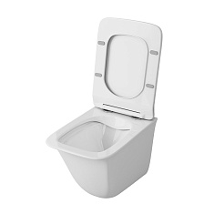 Owl 1975 Унитаз подвесной безободковый Eter Ruta-H с сиденьем DP микролифт – фотография-6