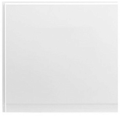 Aquanet Боковой экран для ванны West/Nord/Roma/Largo 70 – фотография-1