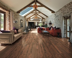 Kale Forest – фотография-2