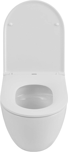 Allen Brau Чаша подвесного унитаза Priority 4.31008.20 белый глянец – картинка-11