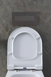 Allen Brau Чаша подвесного унитаза Priority 4.31001.20 белый глянец – фотография-5