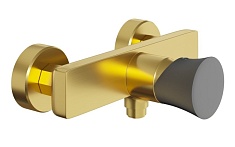 Paini Смеситель для душа Domus 18PJ511PZ брашированные золото/чёрный