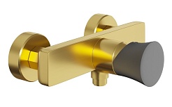 Paini Смеситель для душа Domus 18PJ511PZ брашированные золото/чёрный – фотография-1